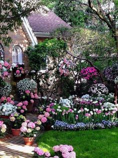 the garden is full of flowers and trees