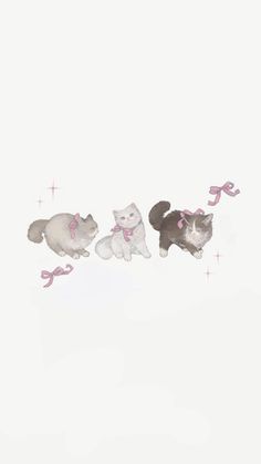 three cats with pink bows on their collars are standing in front of a white background