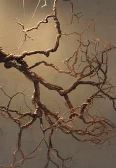 a tree branch with no leaves is shown in the dark water, and it appears to be dying