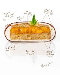 a piece of bread with different ingredients on it and labeled in the top portion, including pineapple