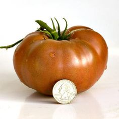 a penny sitting on top of a tomato