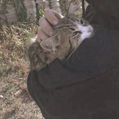 a person holding a cat in their arms while wearing a hoodie and looking at the camera