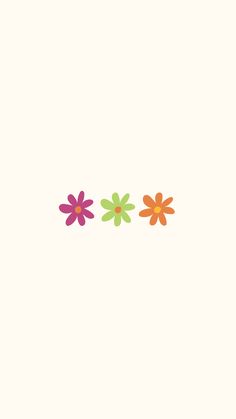 three colorful flowers on a white background