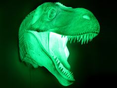 an illuminated dinosaur head in the dark