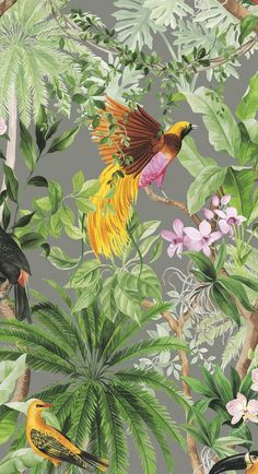 Tropical Bird Peel & Stick Wallpaper in Grey Drops Patterns, Tropical Bird, Bird Wallpaper, Peel Stick Wallpaper, Tropical Birds, Grey Wallpaper, Burke Decor, White Wallpaper, Wallpaper Samples