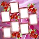 an abstract photo with red flowers and white squares