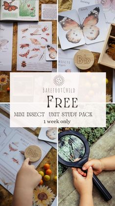 a child holding a magnifying glass in front of a bunch of pictures with the words, free mini insect unit study pack 1 week only