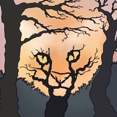 an image of a cat that is in the woods with trees and sunset behind it