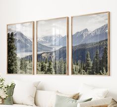 three framed pictures hang on the wall above a couch in a room with white furniture