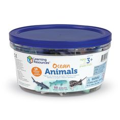 an open container of ocean animals on a white background