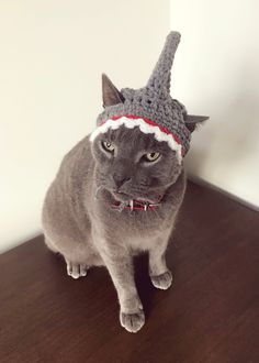 a gray cat wearing a knitted hat on top of a wooden table