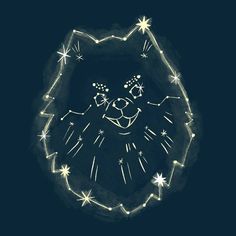 a drawing of a cat with stars on it's face in the night sky