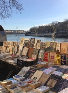 many books are on display near the water