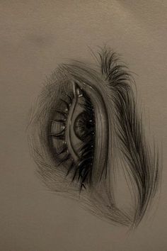 a drawing of an eye with feathers on it's iris and eyeshade