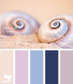 two seashells on the sand with color swatches