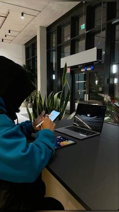 a person sitting at a desk with a laptop and plant in front of them,