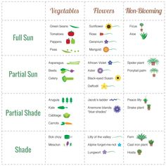 the different types of vegetables and their names are shown in this diagram, which shows what they