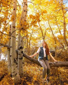 a woman is standing on a tree branch in the woods with yellow leaves around her