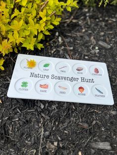 a sign that says nature scavenger hunt in front of some plants and flowers