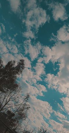 the sky is filled with white clouds and some trees in front of it, as seen from ground level