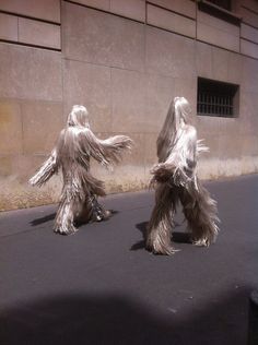 two furry dogs are walking down the street in front of a building with their tails spread out