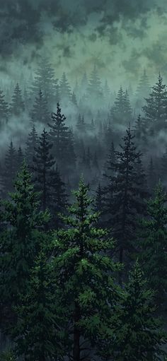 a forest filled with lots of green trees under a dark sky covered in fog and smog