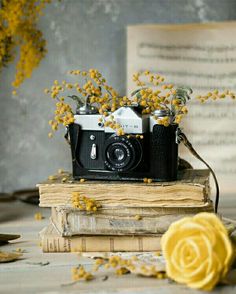 a camera sitting on top of a book next to yellow flowers