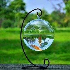 a goldfish in a fish bowl hanging from a metal holder on a wooden table