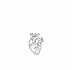 a black and white drawing of a human heart