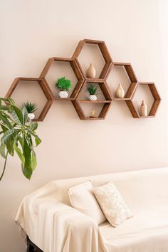 a living room with a white couch and some shelves on the wall above it that have potted plants in them