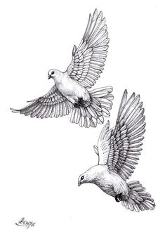 diseño palomas tattoo, tattoo design, tattoo, male tattoos, bird, wing, feather, animal, wildlife, pigeon, hawk, flight, eagle, falcon, nature White Dove Tattoos, Pigeon Tattoo, Dove Drawing, Bird Tattoo Men, Dove Tattoo Design, Dove Tattoos, Christ Tattoo, Dove Tattoo