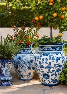 three blue and white vases with orange trees in the backgrounnd behind them