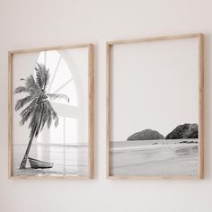 two black and white pictures hanging on the wall next to each other, one with a palm tree