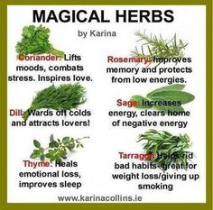 Magickal Herbs, Witch Herbs, Magia Das Ervas, Magic Herbs, Magical Herbs, Healing Plants, Herbal Healing, Herbal Magic, Herbs For Health