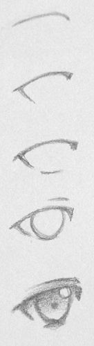 four different types of eyes drawn in pencil