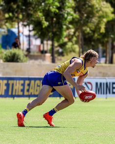 solid sesh ✅ open training ✅ round one has arrived 👊 | Instagram Harley Reid, West Coast Eagles, Eagles, West Coast, Train