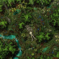 an aerial view of a jungle with zebras in the water and trees around it