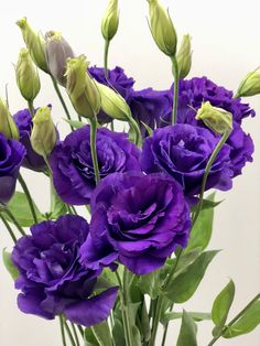 a vase filled with purple flowers on top of a table