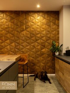 a brown dog laying on the floor in front of a kitchen counter and wooden wall