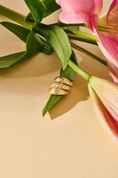 Indulge in sophistication with our stunning collection of solid gold jewelry, celebrating individuality, grace, and beauty. Solid Gold Jewelry, Statement Ring, Statement Rings, Unique Style, Gold Jewelry, Special Occasion, Fine Jewelry