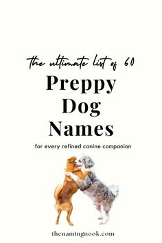 the ultimate list of 6 prepy dog names for every retired canine companion