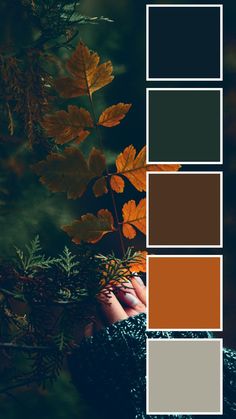 the color palette is brown, green, and grey with orange leaves on it's branches