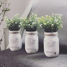 three mason jars with plants in them sitting on a couch