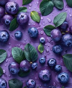 blueberries with leaves and water droplets on purple background, top view imagensign