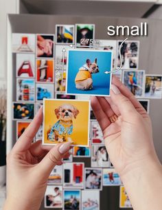 two hands holding up small pictures in front of a refrigerator with magnets on it