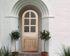 two potted plants sit in front of a white brick building with an arched door