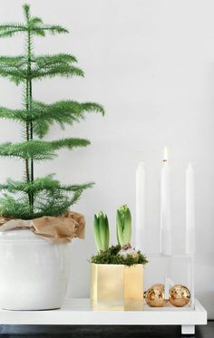 a white table topped with a potted plant and candles