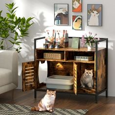 two cats sitting on the floor in front of a wooden desk with drawers and shelves