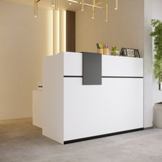 a white reception desk in an office with potted plants