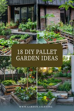 a collage of pictures of a garden with various plants and flowers